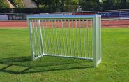 Bolzplatz-Tor (1,8x1,2m) - geschlossen - TV GS 