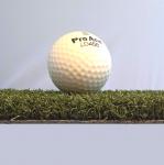 Golf Kunstrasen Putting Green Pro - Preis pro qm 