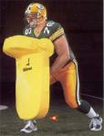 Gilman Hog Handler Shield 